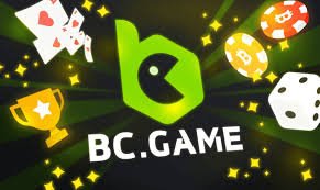 Understanding BC.Game Terms and Conditions